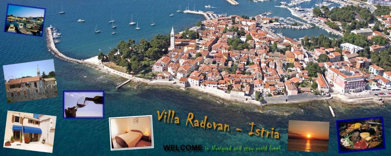Villa Radovan Novigrad Istria المظهر الخارجي الصورة