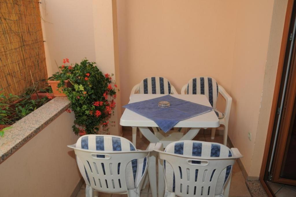 Villa Radovan Novigrad Istria المظهر الخارجي الصورة